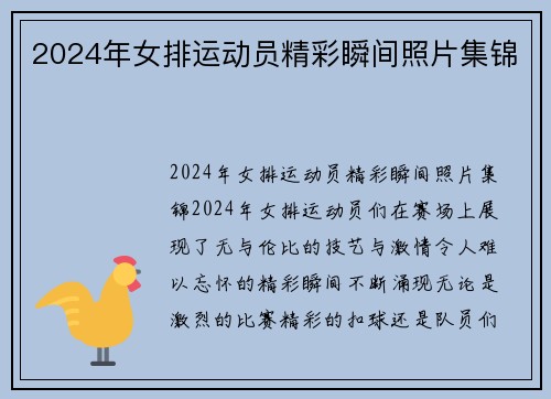 2024年女排运动员精彩瞬间照片集锦
